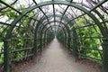 Moscow Russia. Museum-Estate Arkhangelskoye. Trellis arches
